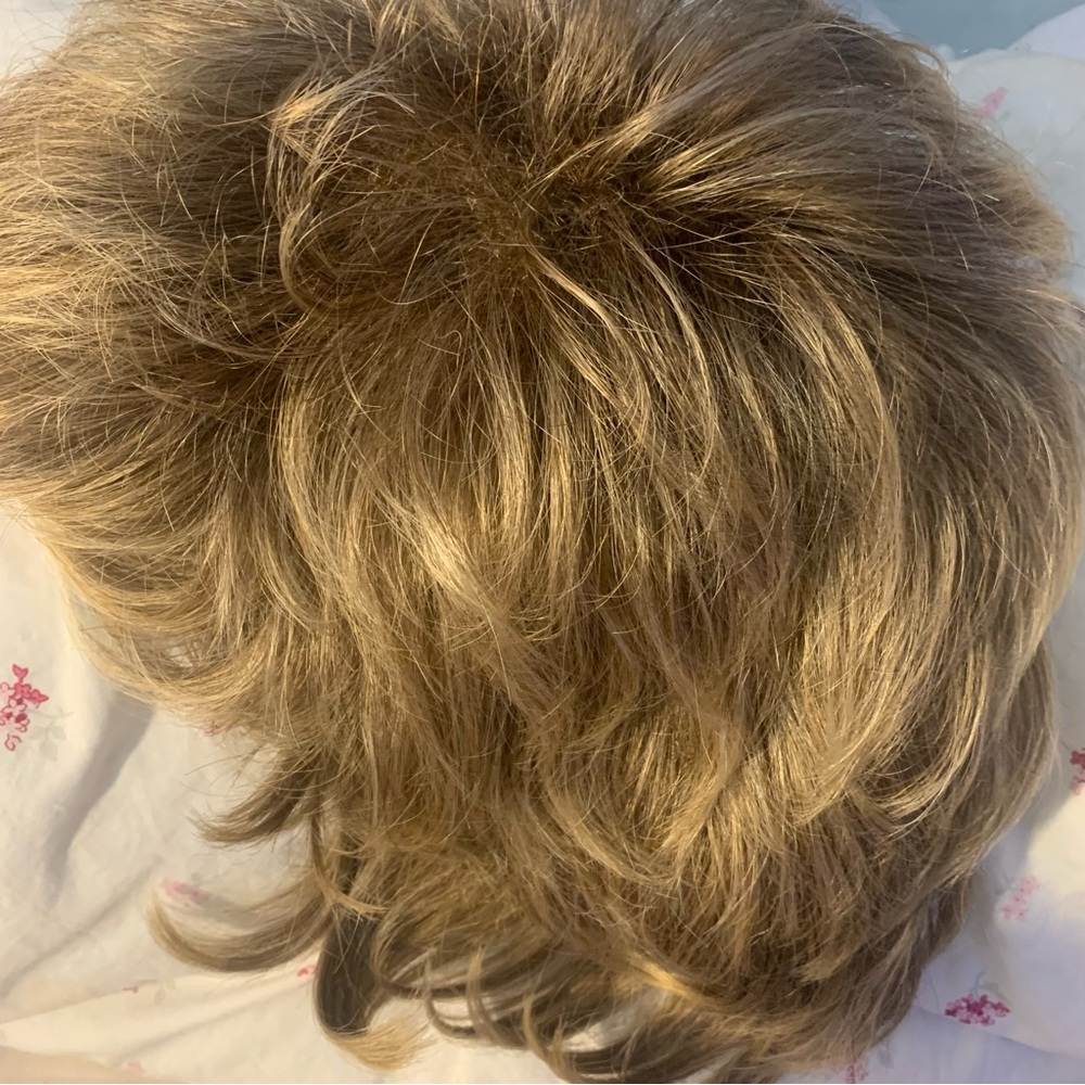 Paula Young Wig